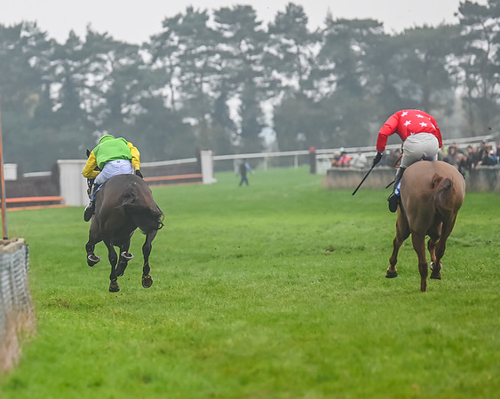 Race 5 - Open Maiden (100 of 106)