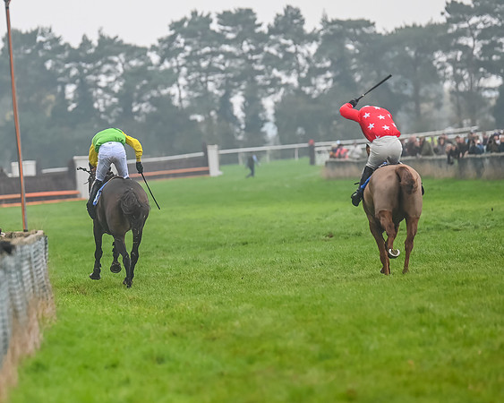 Race 5 - Open Maiden (102 of 106)