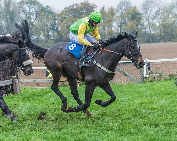 Race 6 - 5-6-7 Maiden (19 of 25)