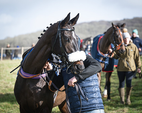 Race 1 - Four and Five year Old Maiden (20 of 137)