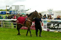 Race 5 - Restriced 2