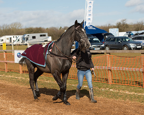 Race 1 - 4-5-6 Maiden (24 of 119).jpg