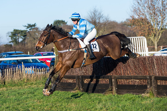 Race 5 - Ladies Open  (128 of 130)