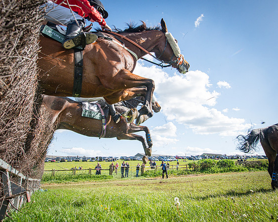 Race 5 - F N Pile and Sons PPORA Novice Riders (81 of 151)