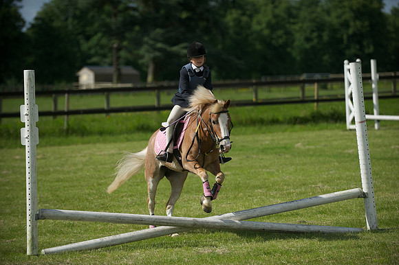SOHS PC Summer Show at BCA 17th June 2012