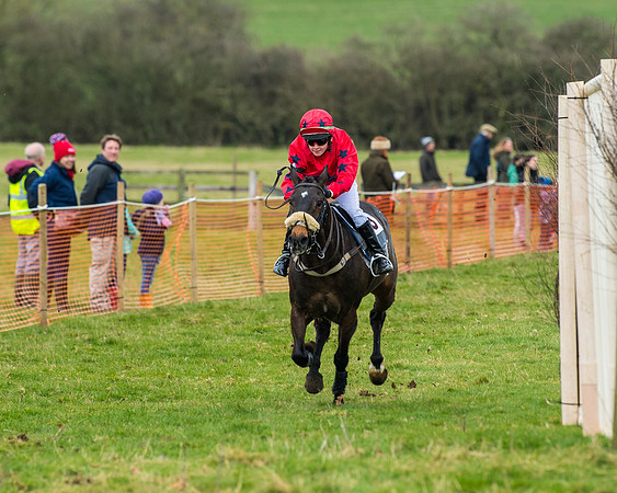 Pony Race 2 (67 of 162)