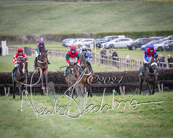 Race 6 - The Restricted Race (30 of 101)