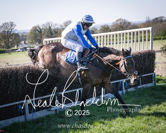 Race 6 - Veteran horse (94 of 109)