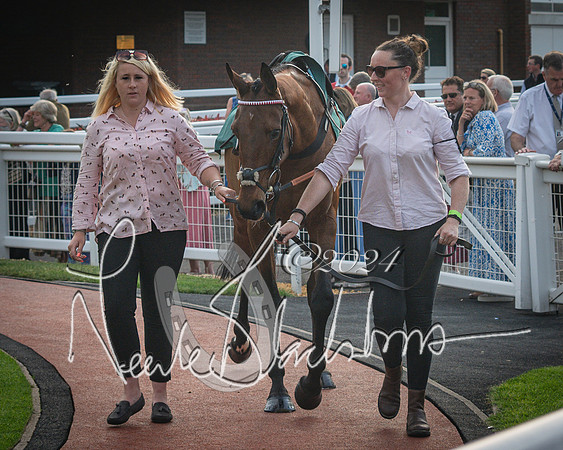Race 5 - Mares Open Hunter Steeplechase 3m2f 70y (22 of 269)