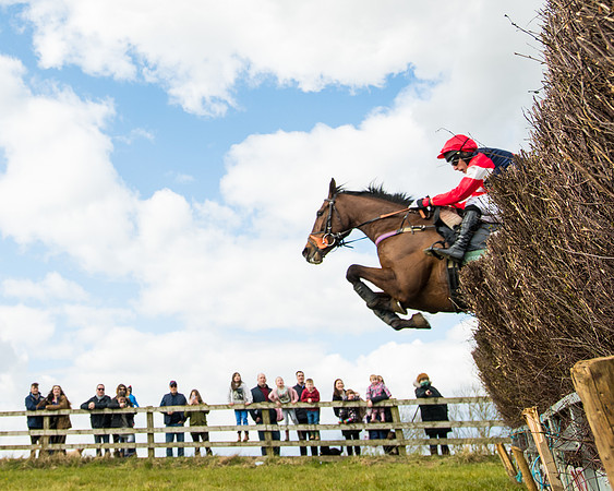 Race 2 - Young Horse Maiden (56 of 104)