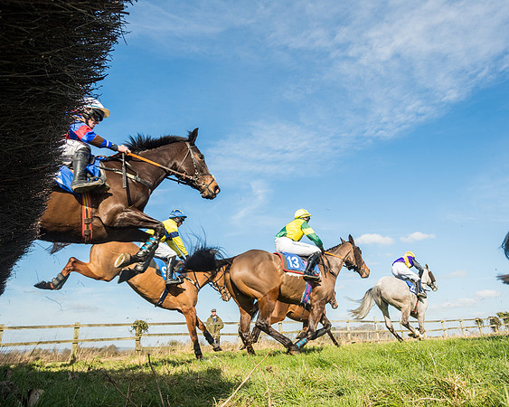 Race 1 - Open Maiden Division 2 (74 of 173)