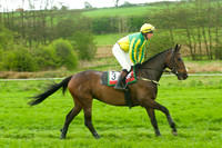 Race 5 - Restriced 17
