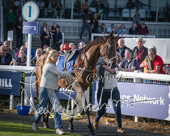 Race 4 - Peretemps Stratford Foxhunters (3 of 168)