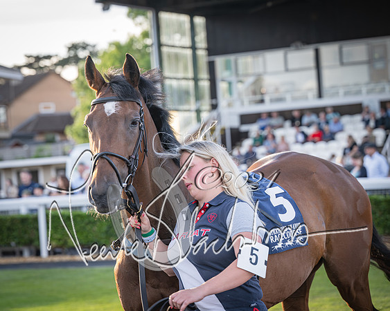 Race 5 - tipsterreviews.co.uk handicap (13 of 107)