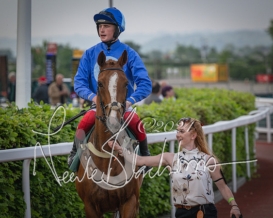 Race 5 - Mares Open Hunter Steeplechase 3m2f 70y (58 of 269)