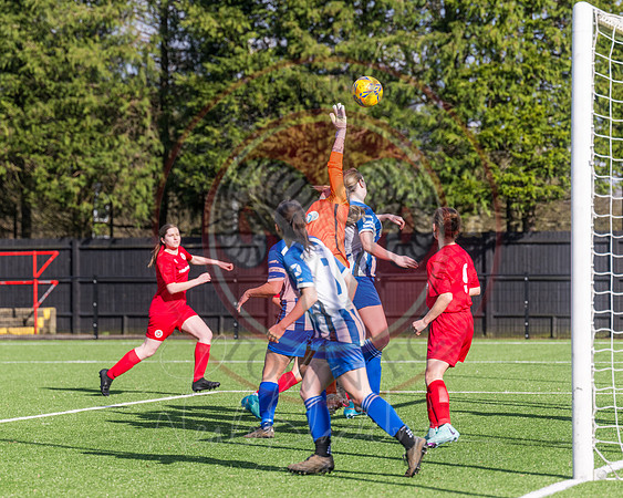 Rams v Penn and Tylers (8 of 444)
