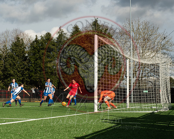 Rams v Penn and Tylers (21 of 444)