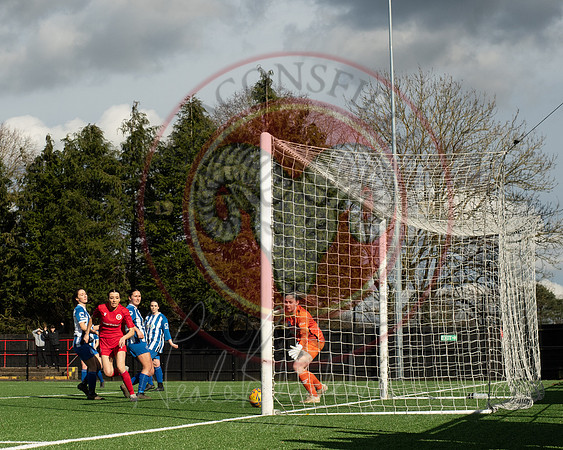 Rams v Penn and Tylers (23 of 444)