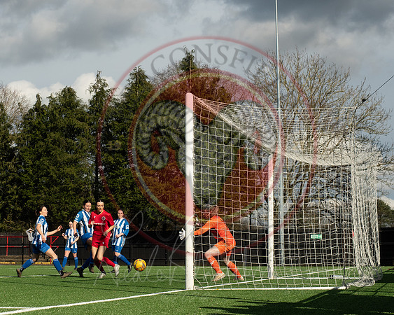Rams v Penn and Tylers (22 of 444)
