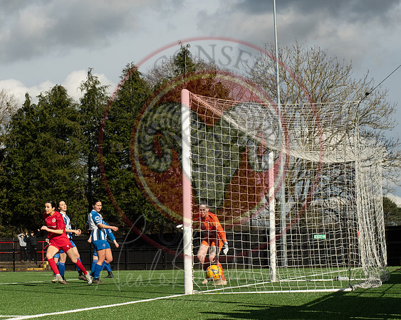 Rams v Penn and Tylers (24 of 444)