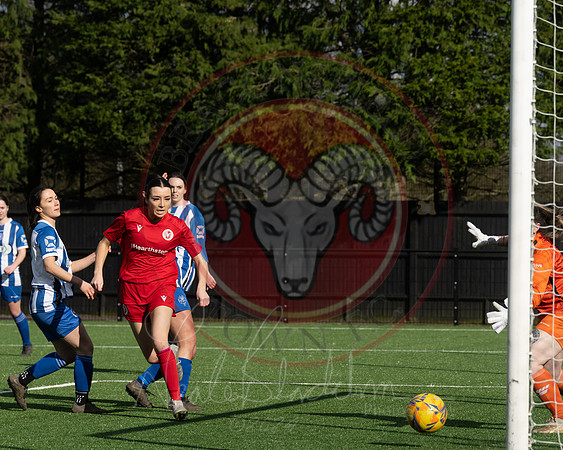 Rams v Penn and Tylers (31 of 444)