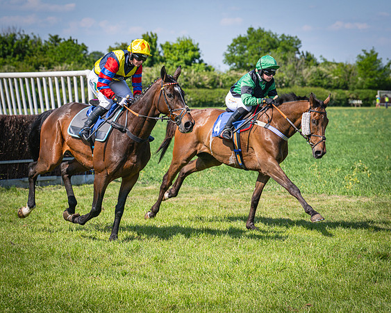 Race 3 The College and County Ladies Open Race (73 of 122)