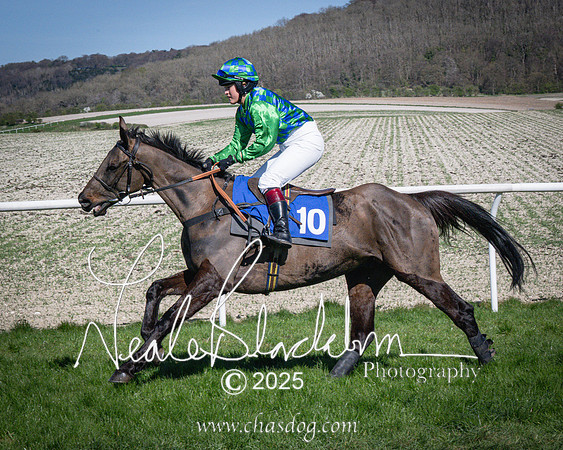 Race 5 - The restricted (24 of 113)