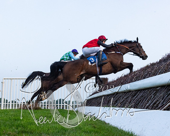 Race 5 - Peter Wright Handicap (63 of 117)