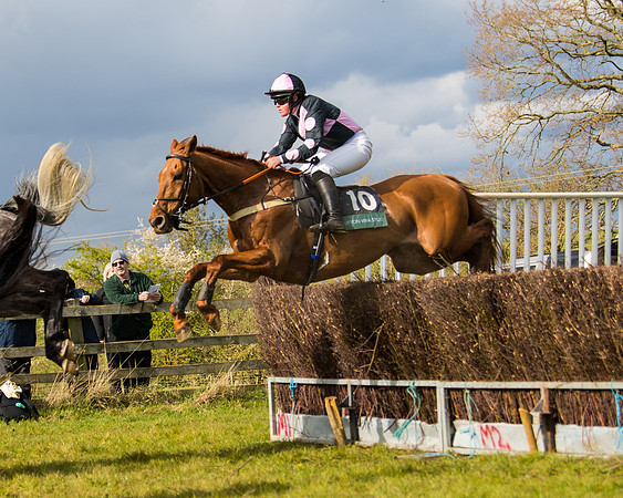 Race 5 - Restricted  (29 of 118)
