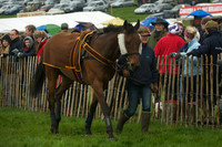Race 4 - Novice riders 3