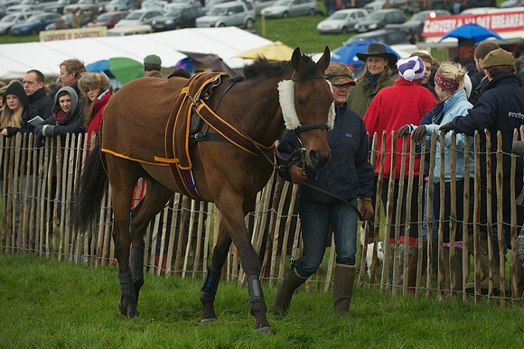 Race 4 - Novice riders 3