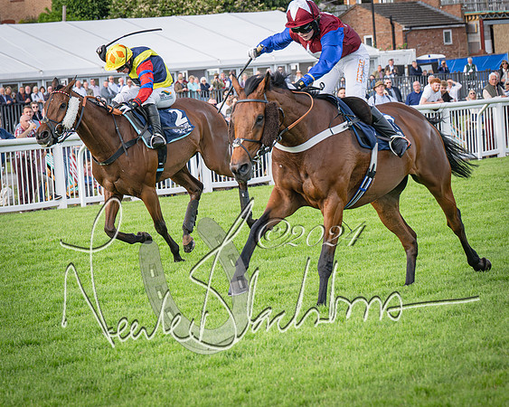 Race 2 - Olly Murphy Racing Stratford Ladies Open (89 of 111)