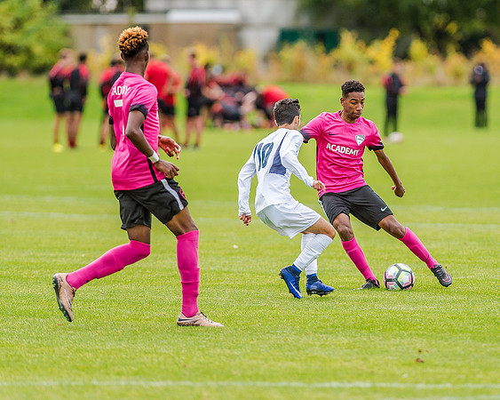 edsv 6-0 191016 (197 of 257)