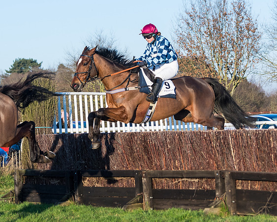 Race 5 - Ladies Open  (102 of 130)