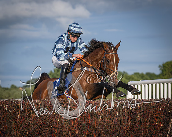 Race 4 - Peretemps Stratford Foxhunters (81 of 168)