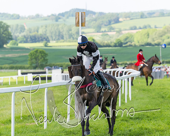 Race 4 - PPORA Novice Riders Final  (72 of 362)