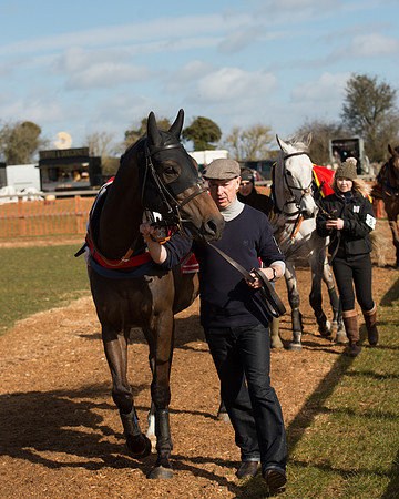 Race 1 - 4-5-6 Maiden (31 of 119).jpg