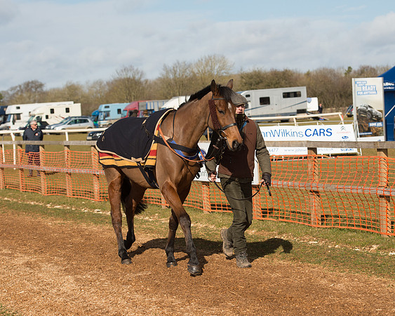 Race 1 - 4-5-6 Maiden (22 of 119).jpg