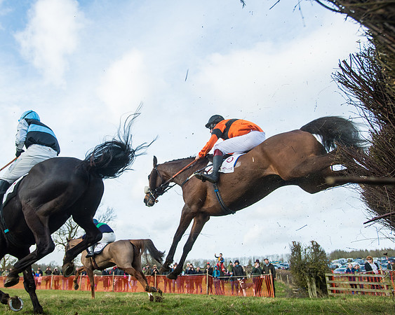 Race 5 - PPORA Conditions 2 - 8 and over  (70 of 156)