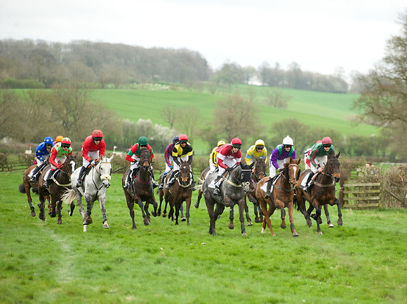 Race 6 - Maiden  46