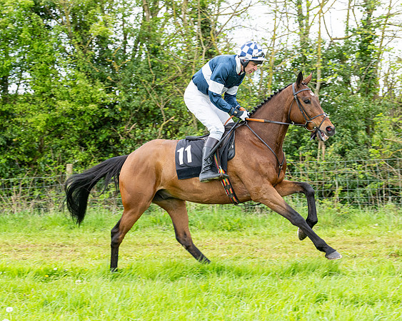 Race 2 - 2M4F Conditions (57 of 195)