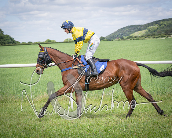 Race 1 - The owner-trainer Conditions race (19 of 118)