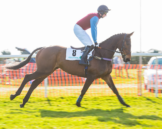 Race 5 - TBA members Mares and Fillies race (21 of 101).jpg