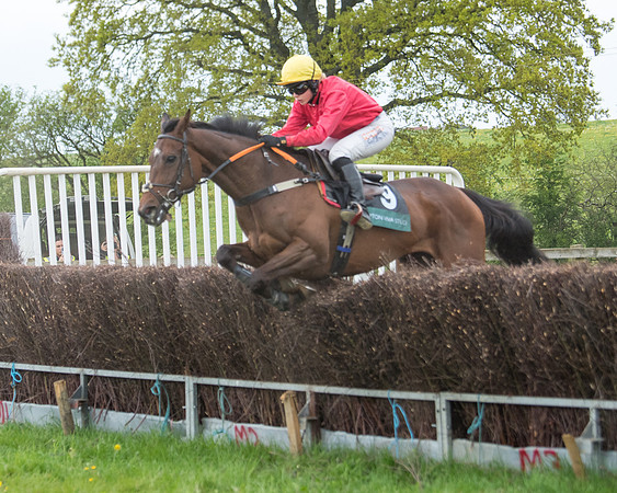 Race 6 - Restricted (117 of 173)