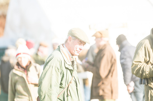 Race 4 - Veteran Horses (3 of 167)