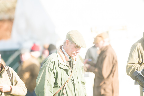 Race 4 - Veteran Horses (4 of 167)