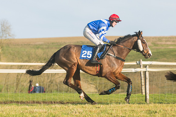 Race 4 - Veteran Horses (11 of 167)