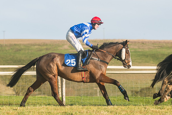 Race 4 - Veteran Horses (12 of 167)