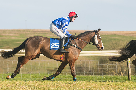 Race 4 - Veteran Horses (13 of 167)