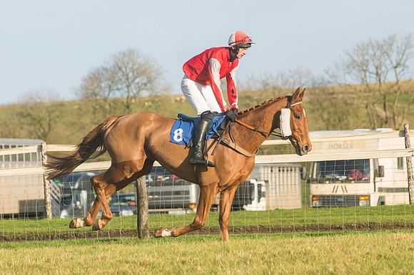 Race 4 - Veteran Horses (14 of 167)